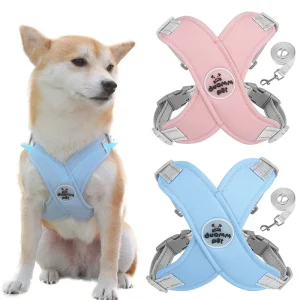 Tuigje honden - Stijlvol en comfortabel ontwerp in lichtblauw voor een veilige wandeling